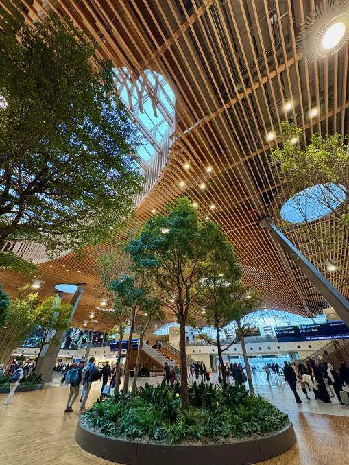 Trees inside the Portland terminal. Picture: Amy Cooper Trees inside the Portland terminal. Picture: Amy Cooper