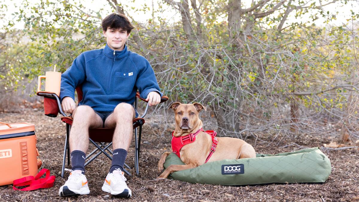 DOOG has a series of excellent car seats and harnesses to help pets travel in comfort.