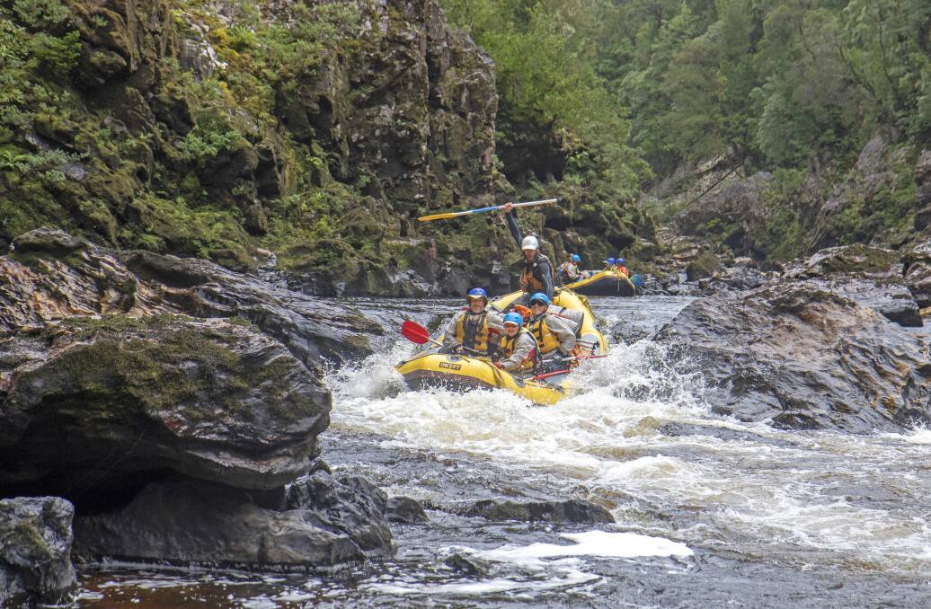 The legendary Franlkin River in Tasmania.