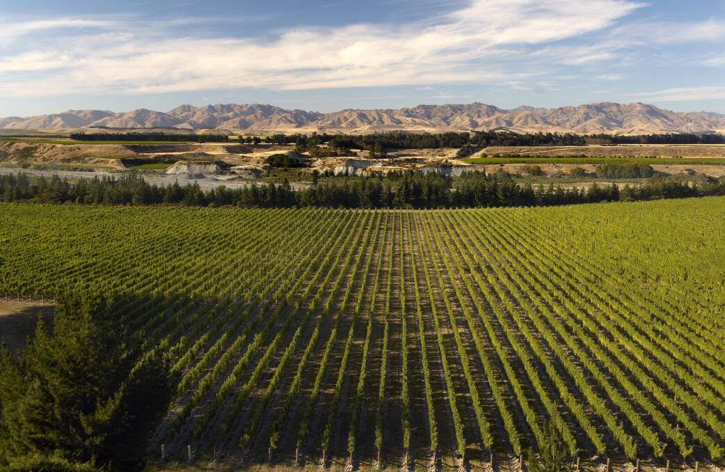 Marlborough vineyard. Picture: MarlboroughNZ. Marlborough vineyard. Picture: MarlboroughNZ.