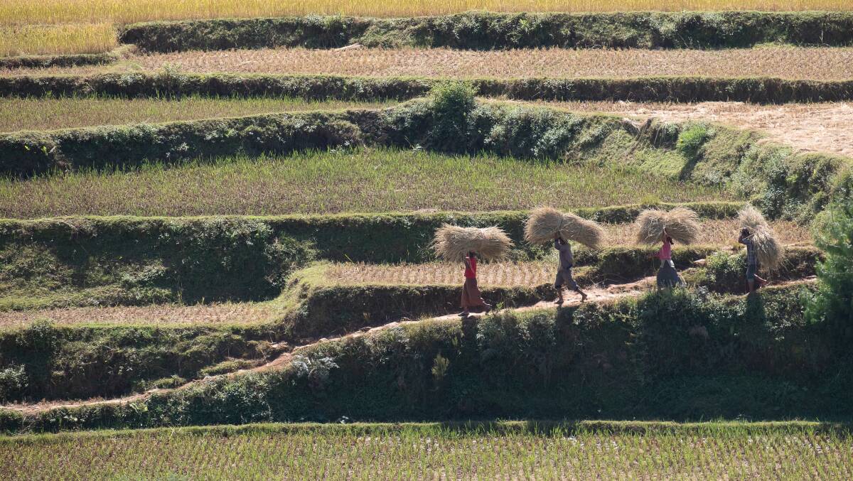 Antsirabe, Madagascar. Picture: Narina Exelby