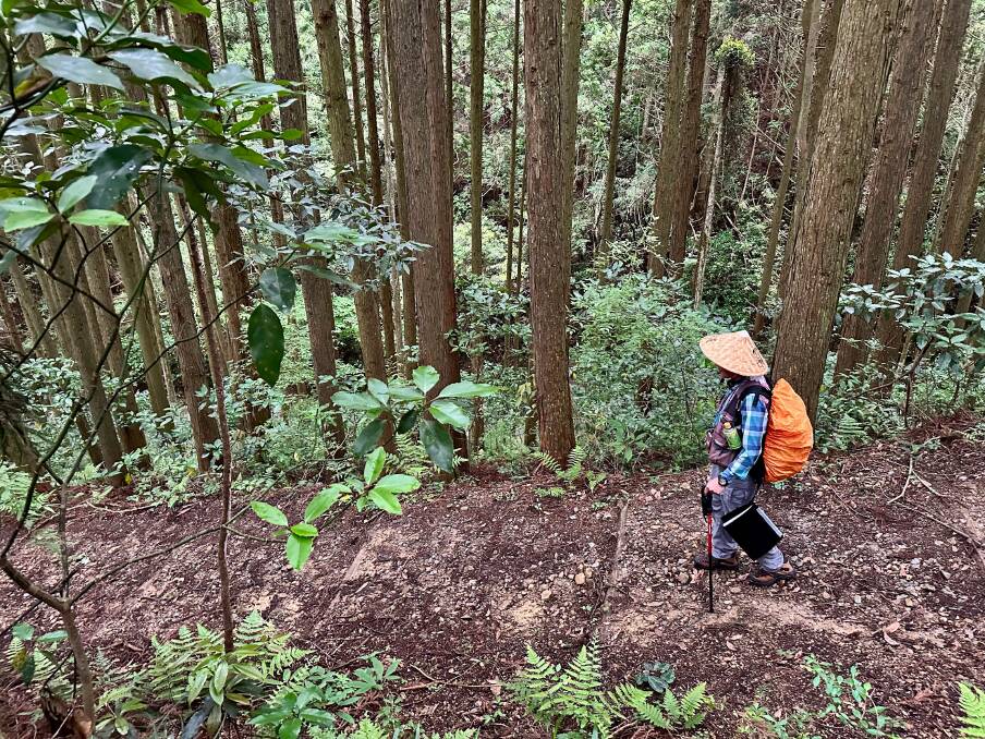 Furutani-san on Hagi Okan trade route. Picture by Anabel Dean