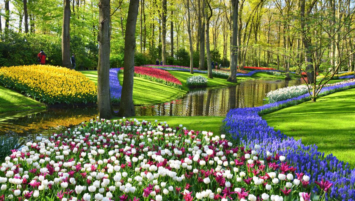 Flower beds at Keukenhof. Picture by Getty Images