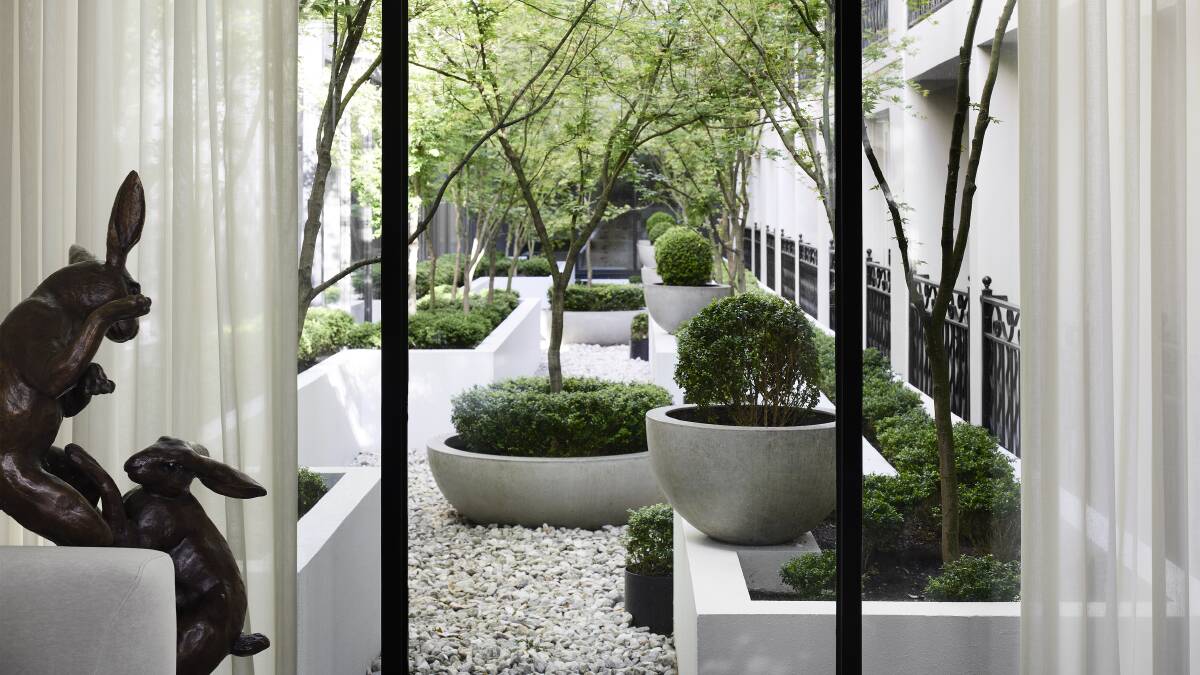 The property's leafy garden. The property's leafy garden.