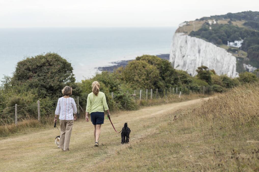 The White Cliffs. The White Cliffs.