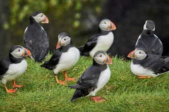 The unexpected vantage point that unlocks the world's best birdwatching