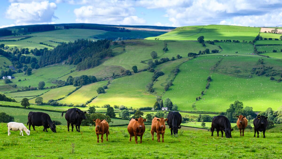 Wrexham is edged by bucolic countryside. Picture: Wrexham County Borough Council 