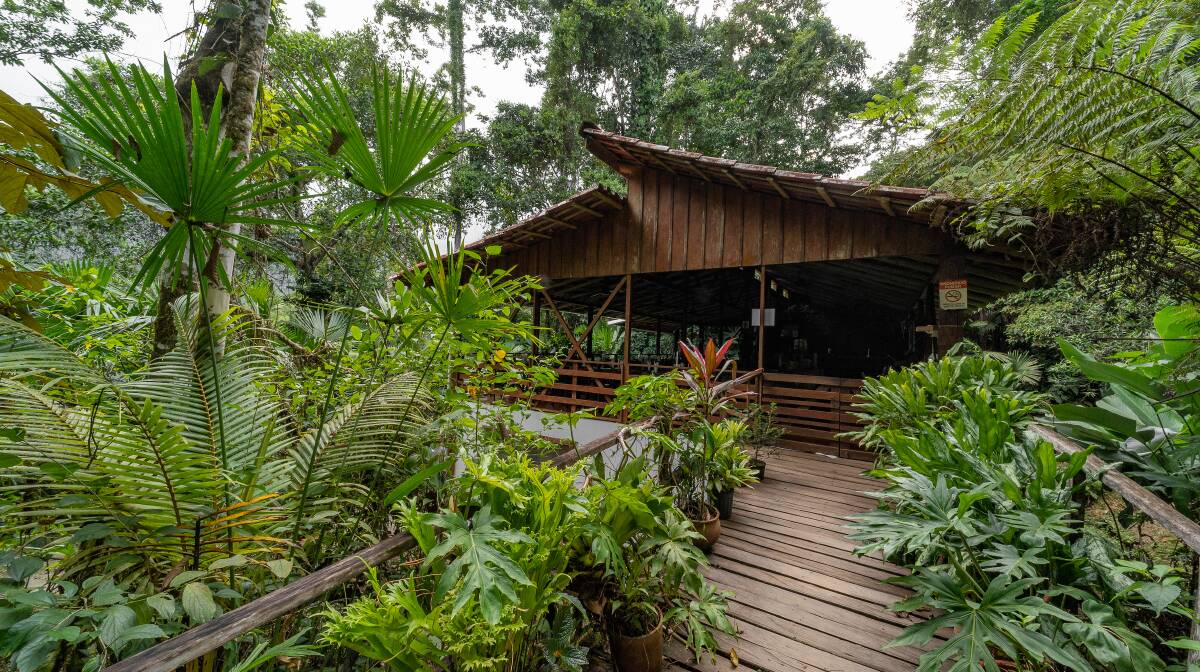 Selva Bananito Lodge. Picture: Marck Gutt