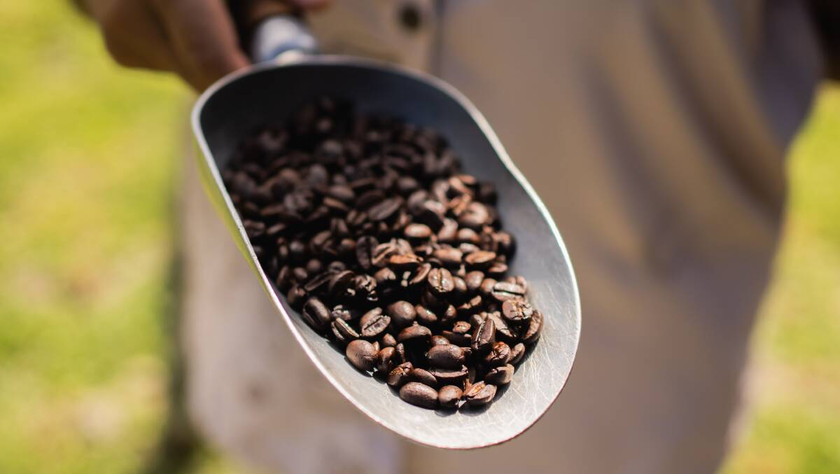 Local beans.
