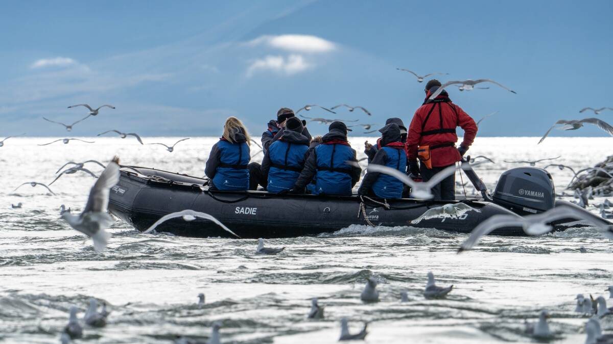 Zodiac excursion. Picture: Jamie Lafferty