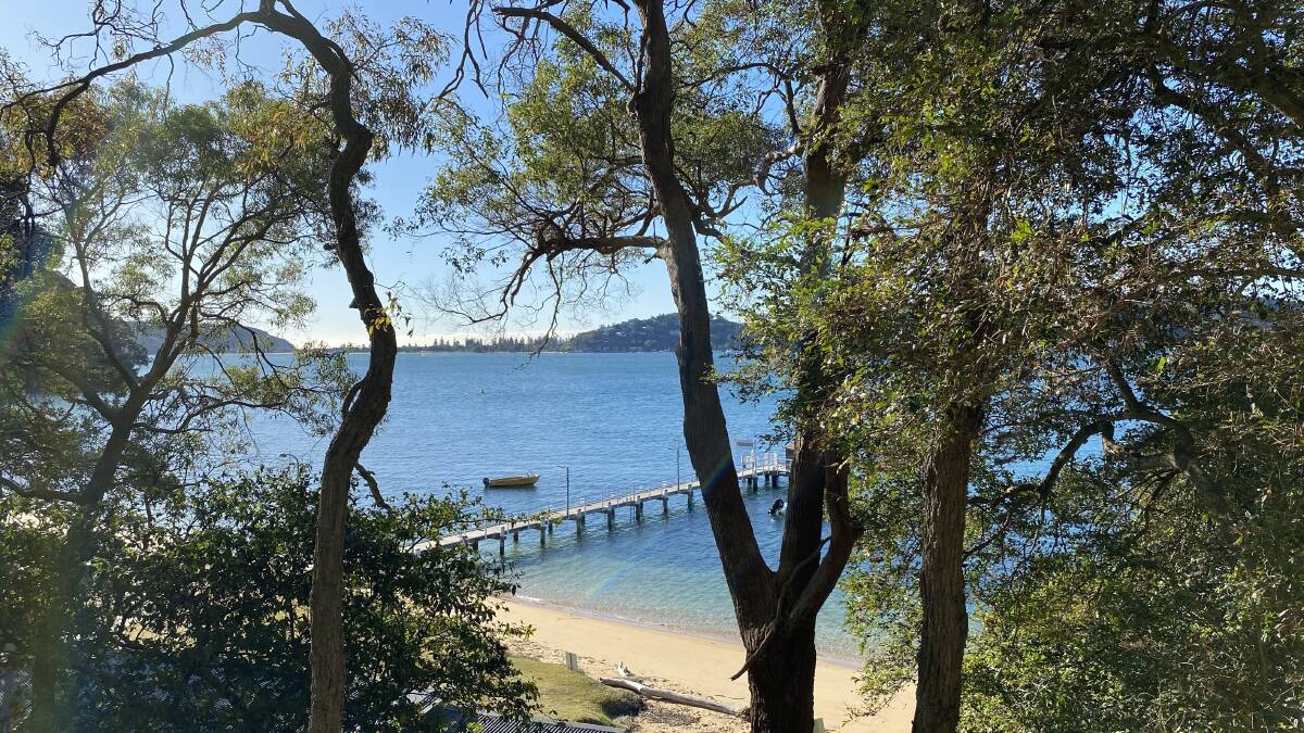 Where bush meets the water.