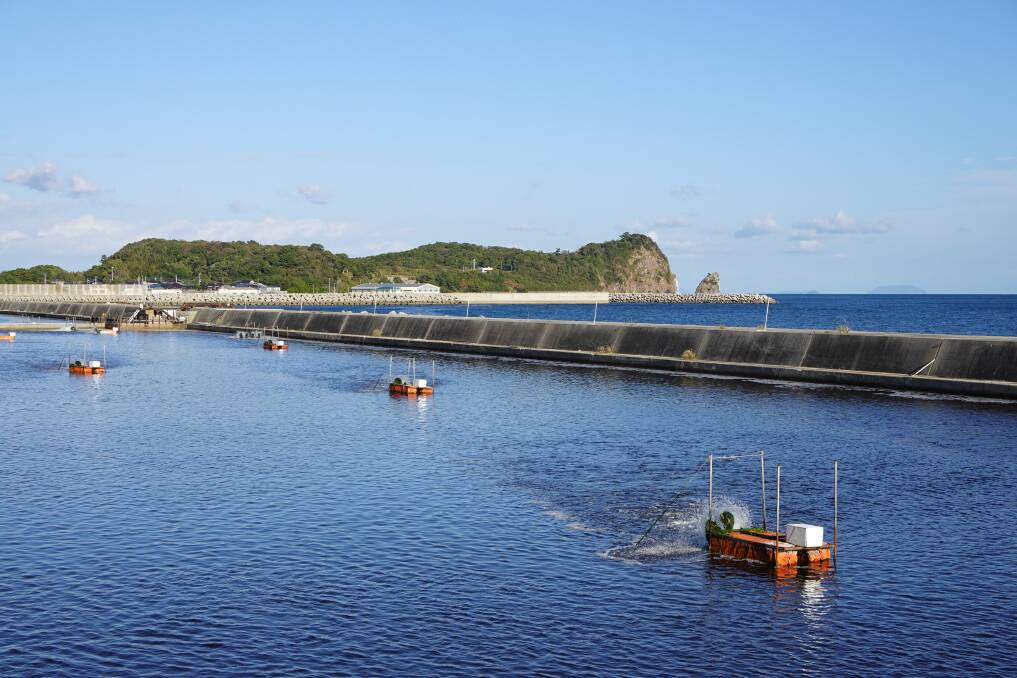 A prawn farm.