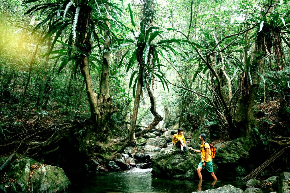 The lush island of Amami Oshima. Picture: JNTO
