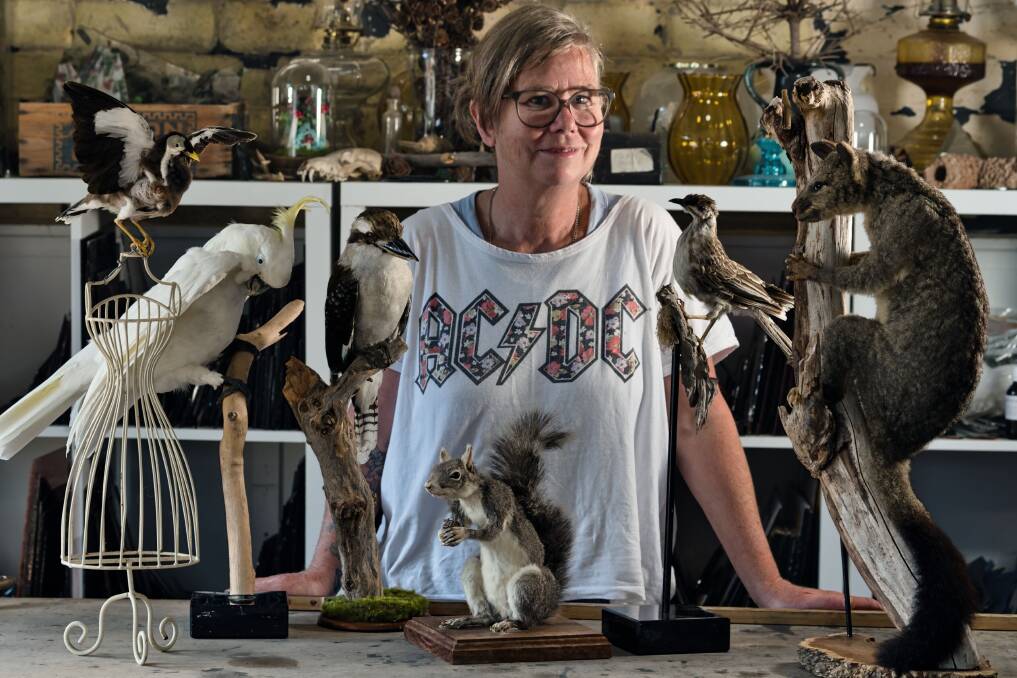 Taxidermist Robyn Austin. Picture by David Hill Taxidermist Robyn Austin. Picture by David Hill