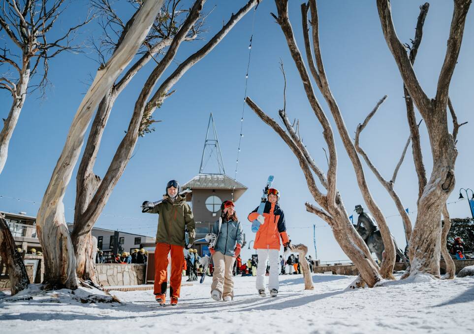 Mount Buller in Victoria.