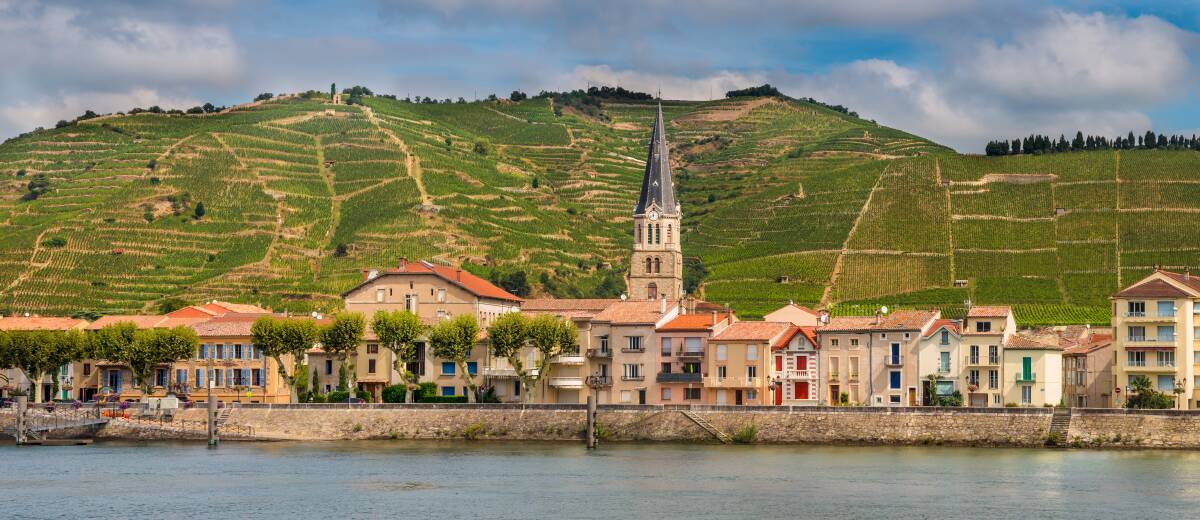 Cruising by the vineyards of Tournon. Cruising by the vineyards of Tournon.