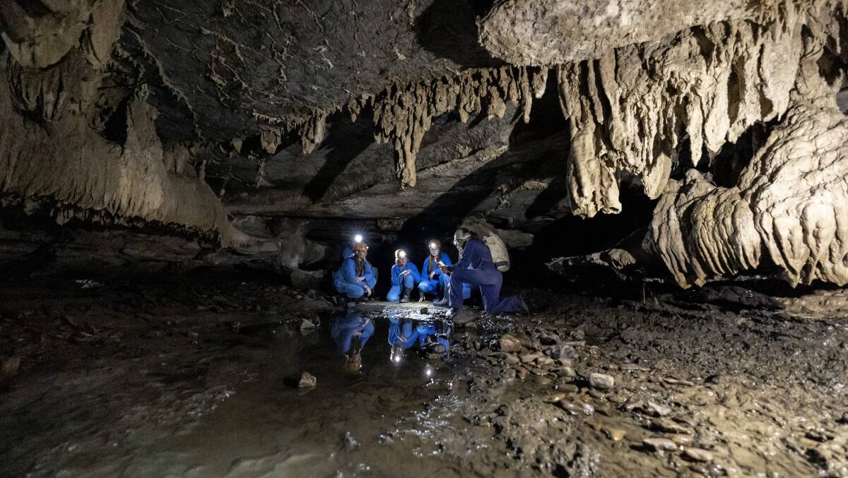Marakoopa Cave in Tasmania.