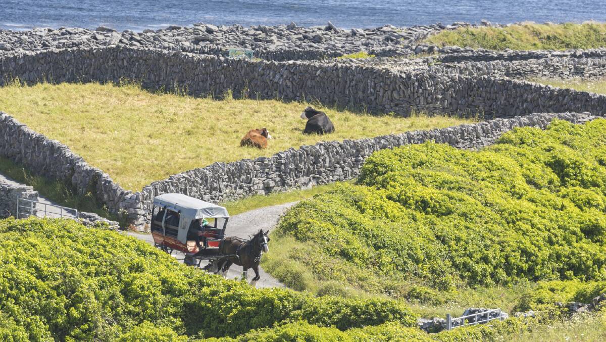 A jaunting cart on the Aran island of Inis Oirr. Picture: Getty Images