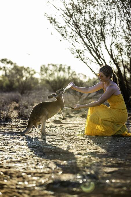 Feeding time at Kangaroo Sanctuary. Picture: Tourism NT/Helen Orr Feeding time at Kangaroo Sanctuary. Picture: Tourism NT/Helen Orr