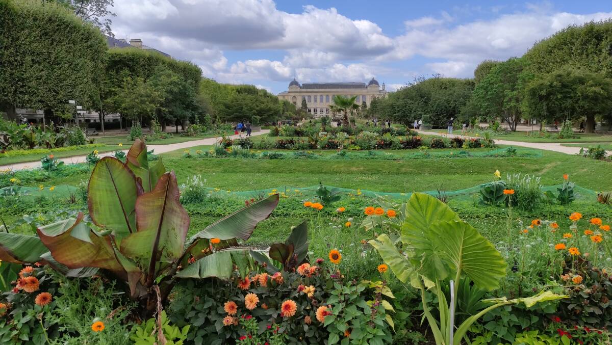 Jardin des Plantes. Picture: Steve McKenna Jardin des Plantes. Picture: Steve McKenna