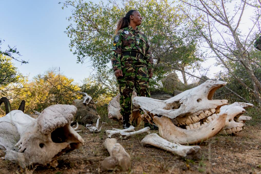 Nkateko Letti Mzimba is on a mission to save wildlife from dangerous hunters. Picture by Michael Turtle