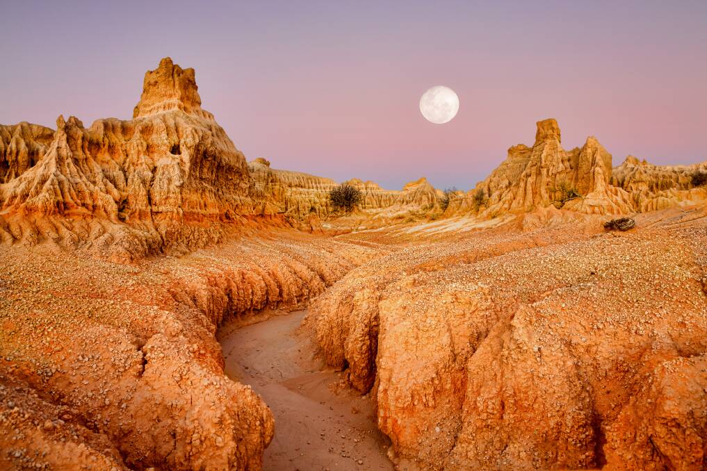 The national parks of NSW are stealing the show. Here's why The national parks of NSW are stealing the show. Here's why