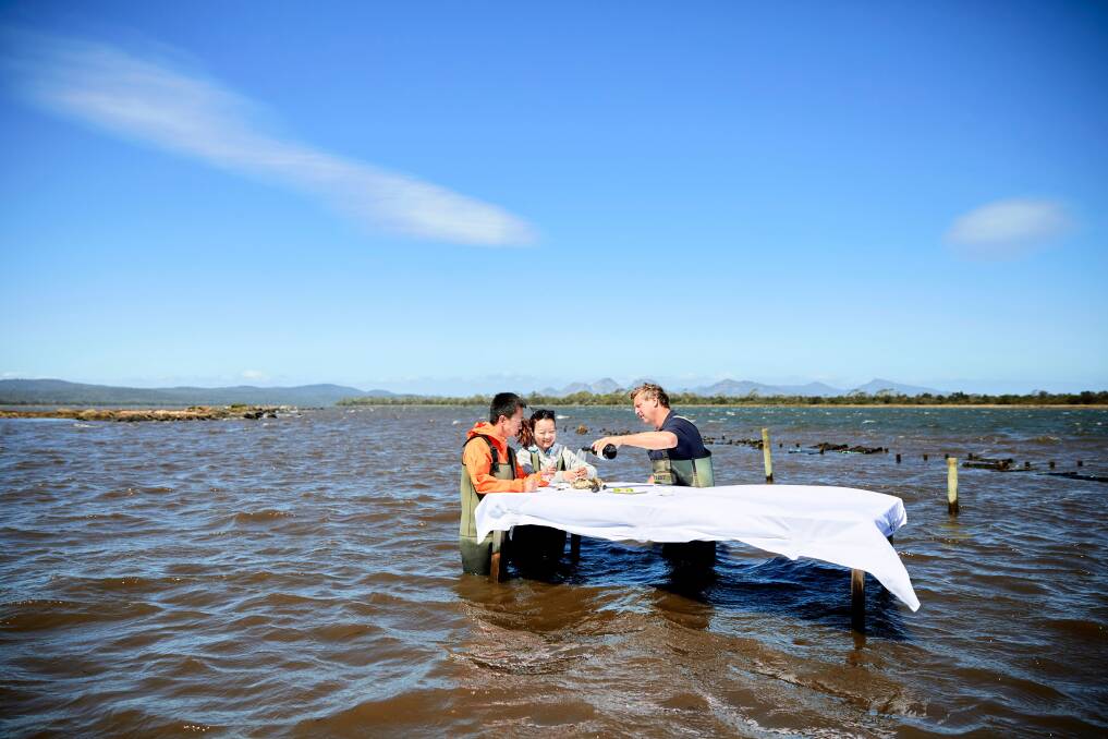 Saffire Freycinet's Marine Oyster Farm Experience. Picture: Tourism Tasmania
