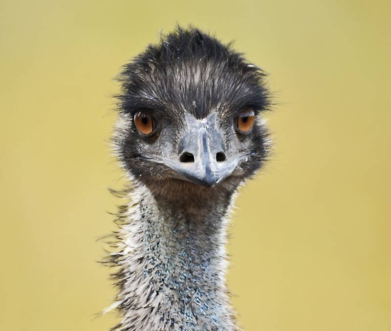 Picture: Unsplash/David Clode
