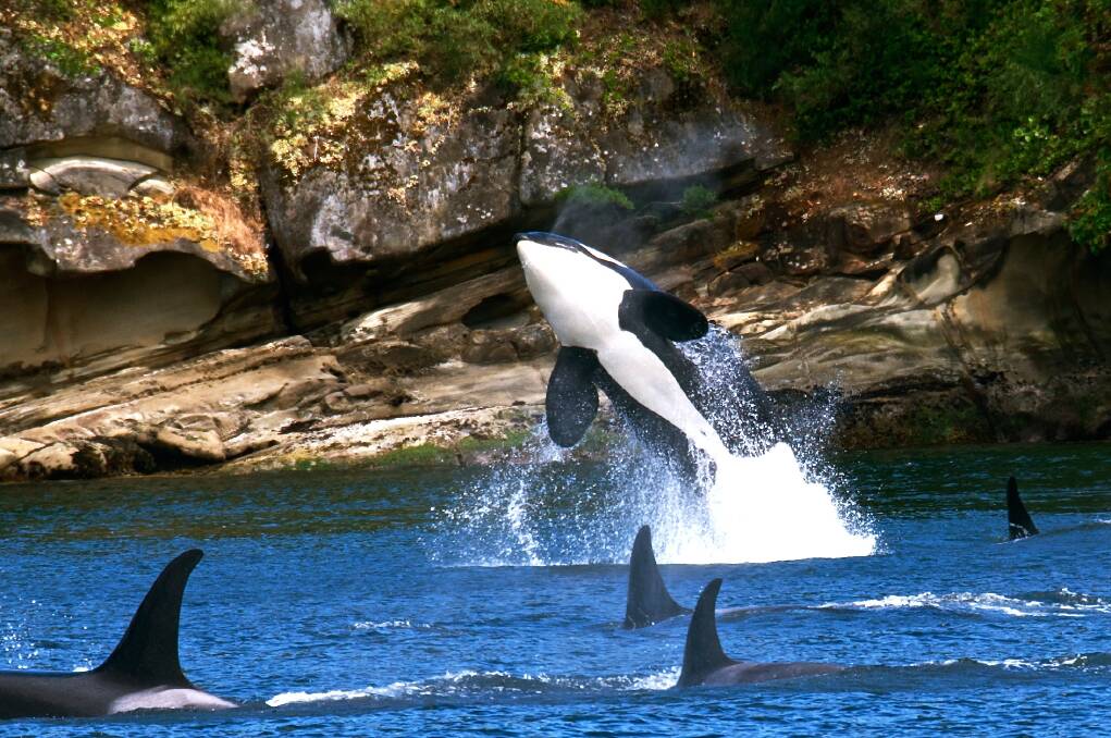 San Juan. Picture: Visit San Juans