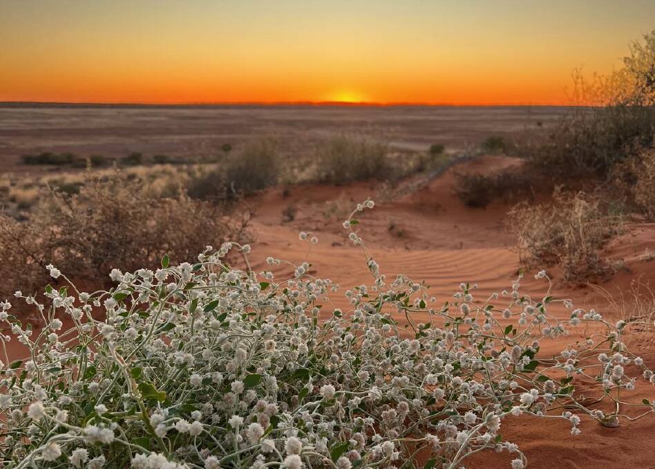 The Munga-Thirri Simpson Desert National Park. The Munga-Thirri Simpson Desert National Park.