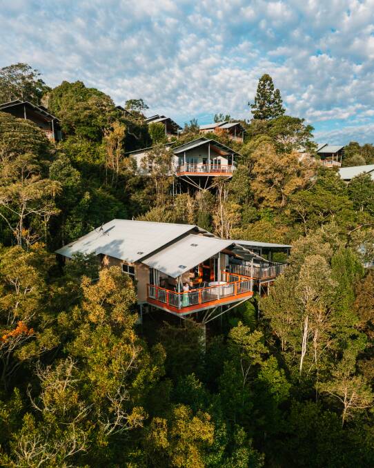 Luxury villas at O'Reilly's. Picture: Tourism & Events Queensland Luxury villas at O'Reilly's. Picture: Tourism & Events Queensland
