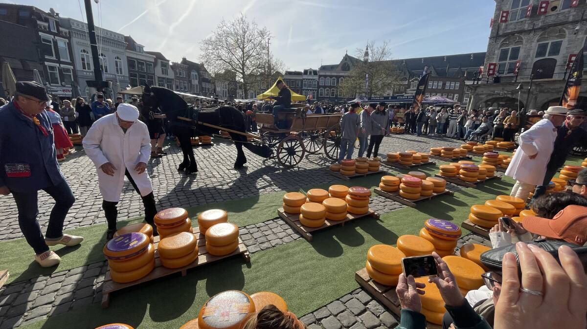 Gouda Cheese Market. Picture by Sarah Maguire