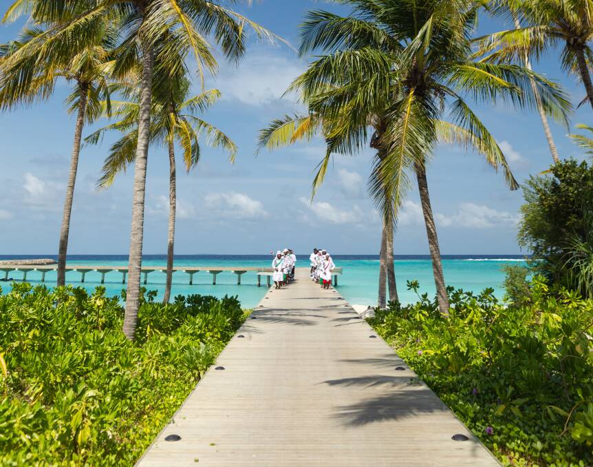 Welcome to the island. Welcome to the island.