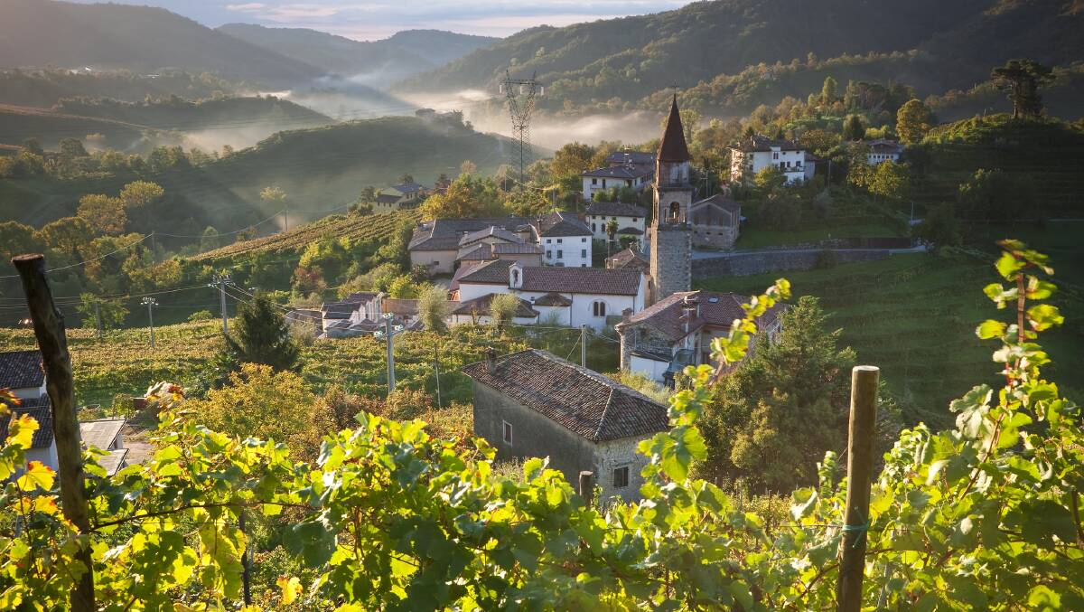 Prosecco, Italy.