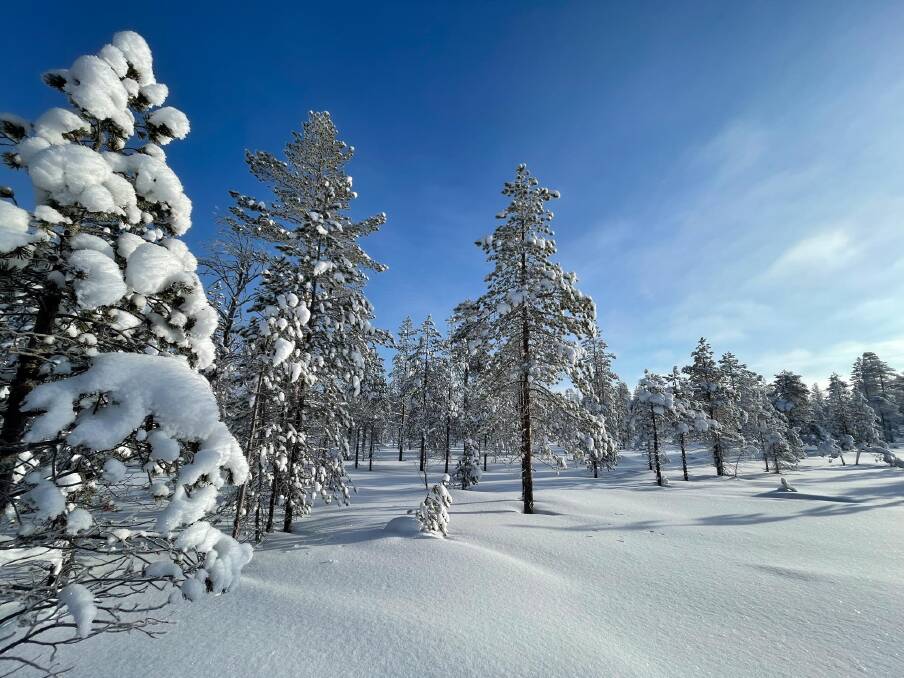 Winter on the Arctic Circle near Rovaniemi. Picture: Matt Brace Winter on the Arctic Circle near Rovaniemi. Picture: Matt Brace