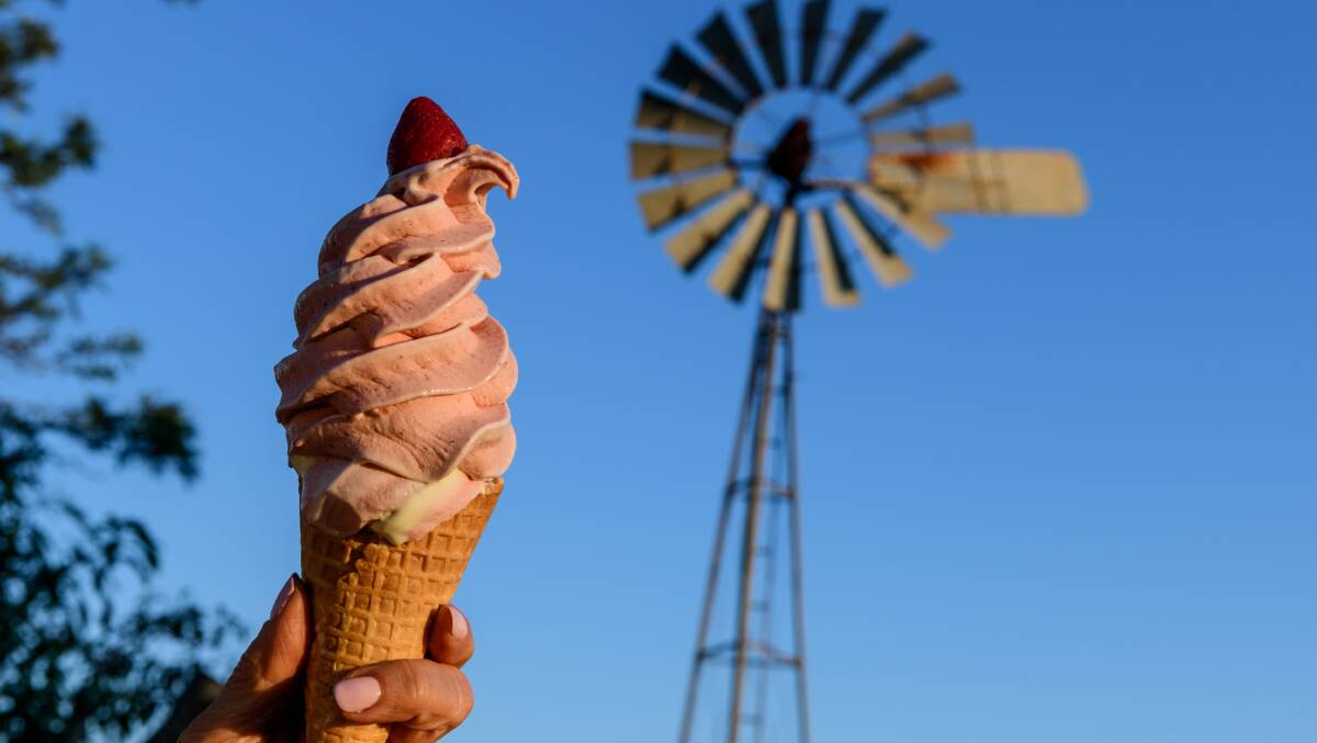 Strawberry icecream at Tinaberries. Picture: Paul Beutel Strawberry icecream at Tinaberries. Picture: Paul Beutel