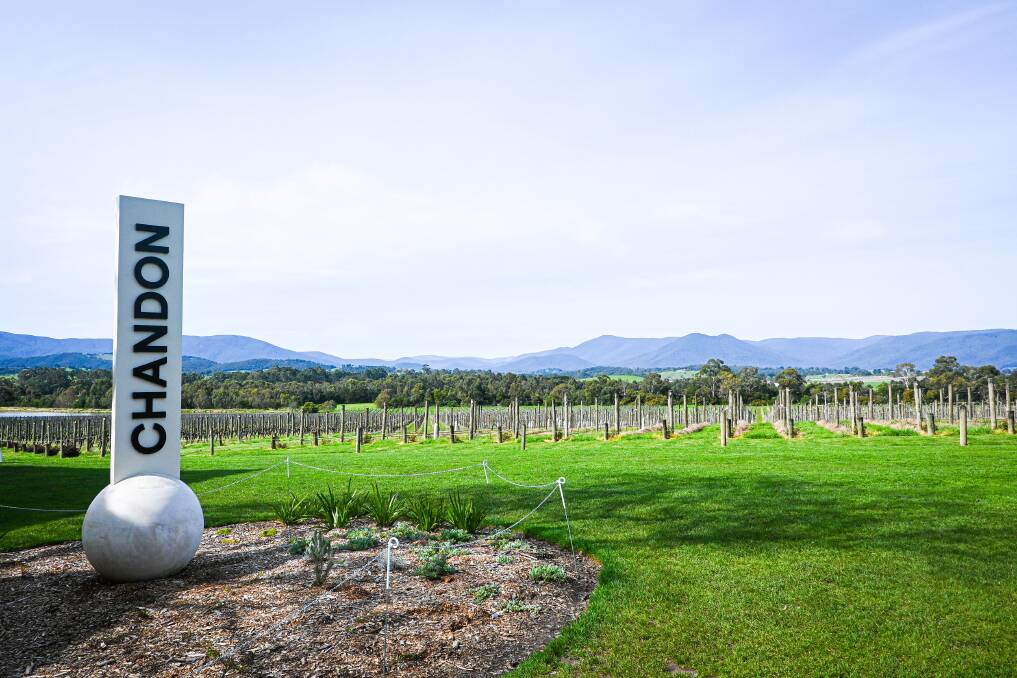 A Yarra Valley winery. A Yarra Valley winery.