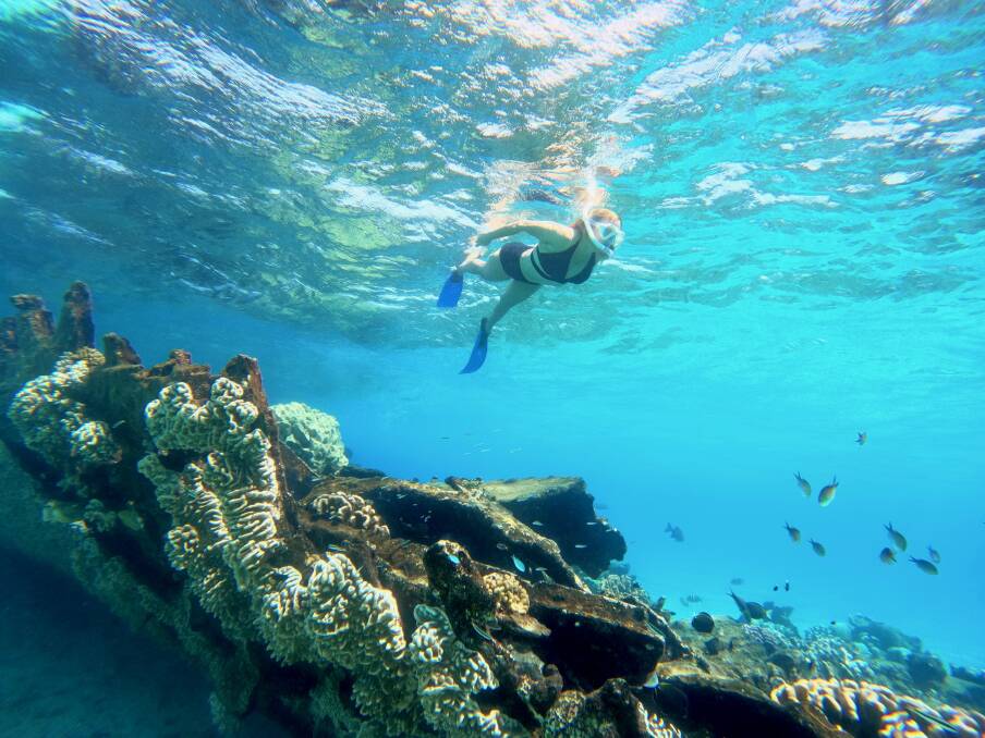 The writer snorkelling the wreck. The writer snorkelling the wreck.