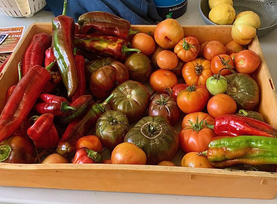 Fresh veg at Fair Harvest Permaculture. Picture: Amy Cooper Fresh veg at Fair Harvest Permaculture. Picture: Amy Cooper