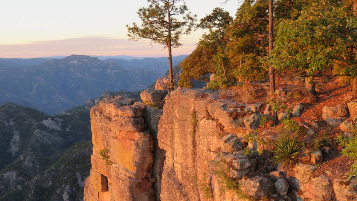 Copper Canyon, Mexico. Picture: Unsplash