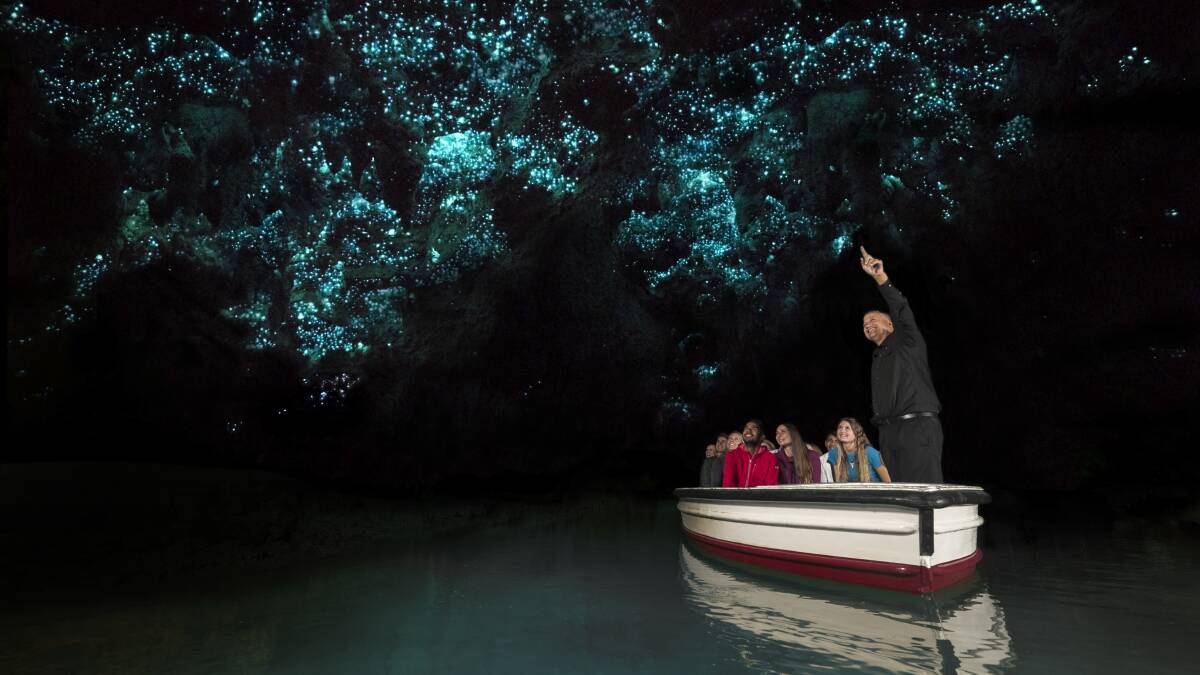 Waitomo Glowworm Caves tour. Waitomo Glowworm Caves tour.