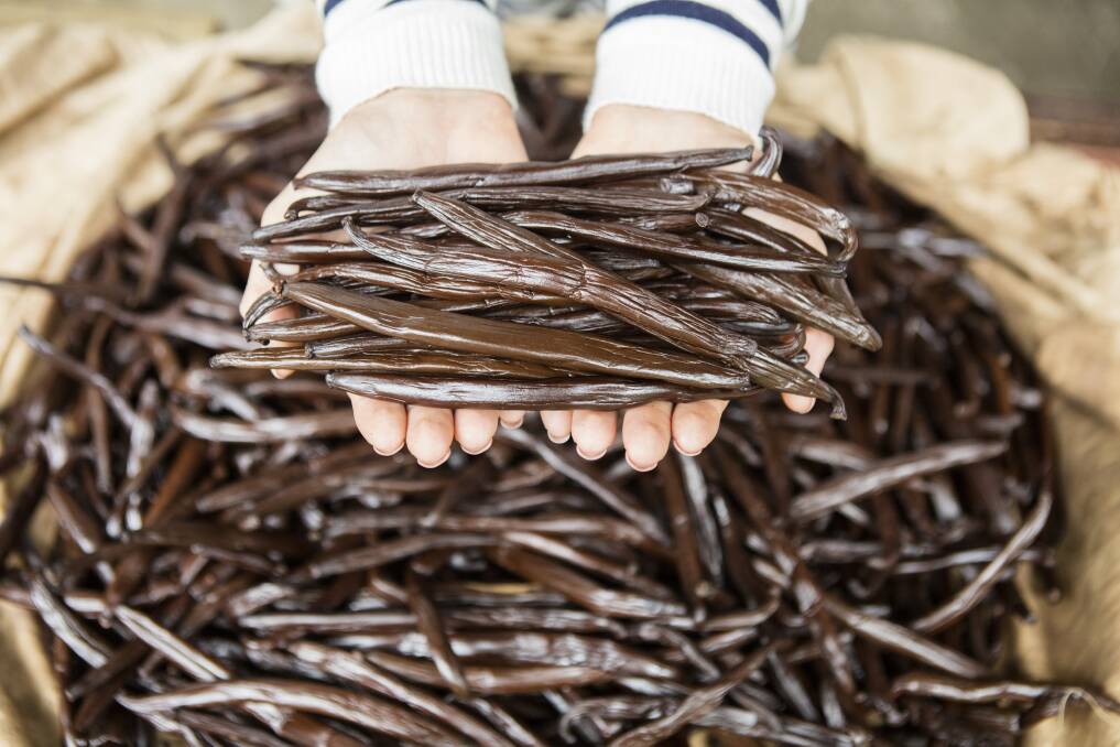 Vanilla pods. Picture: Tahiti Tourisme/Gregoire Le Bacon