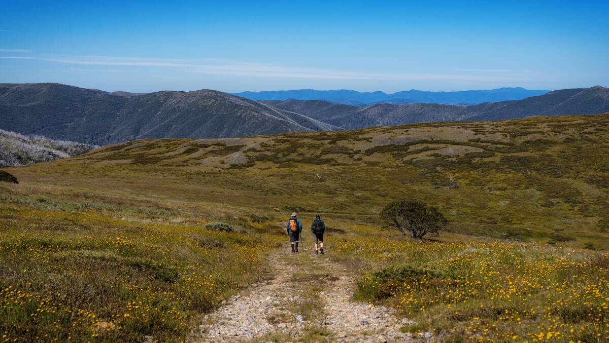 Views in the alpine national park. Views in the alpine national park.