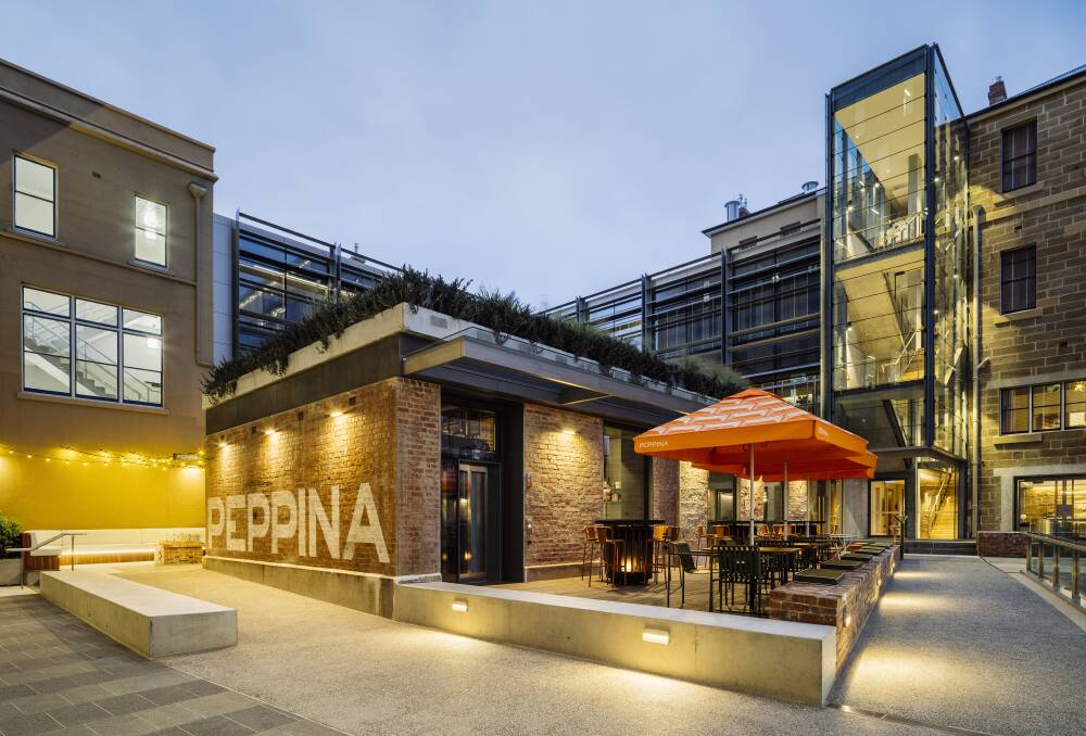 Peppina. Picture: Adam Gibson