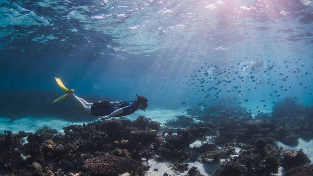 Snorkelling at Coral Bay. Snorkelling at Coral Bay.