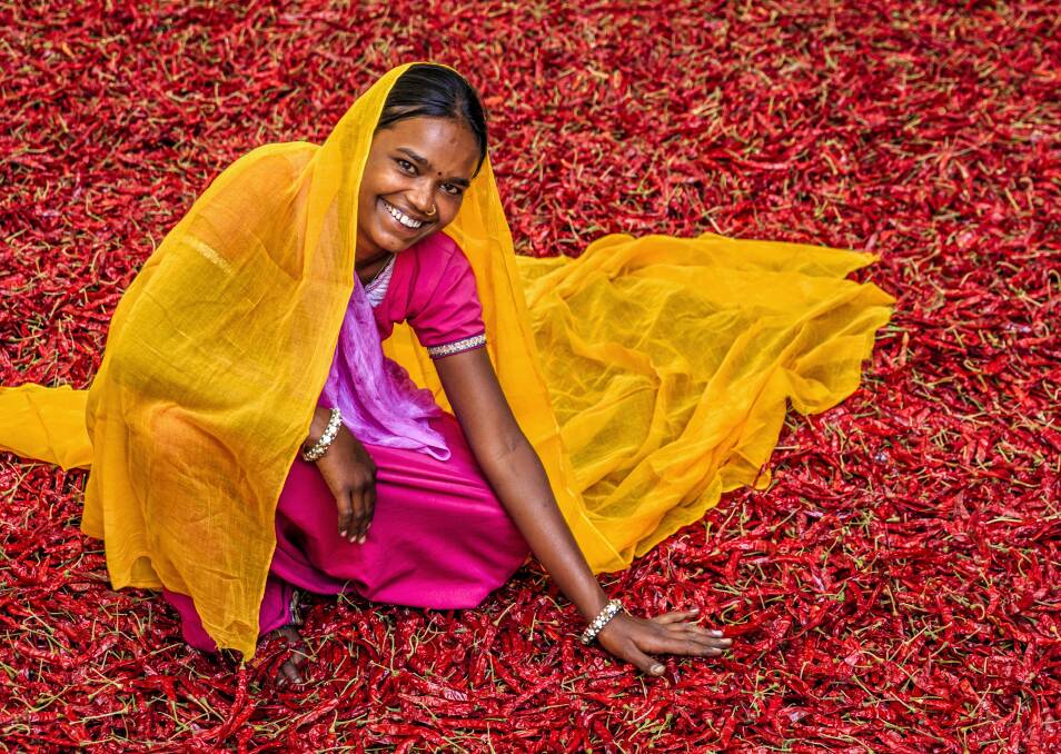 Chilies are the spice of life in countries including India. Picture: Getty Images Chilies are the spice of life in countries including India. Picture: Getty Images