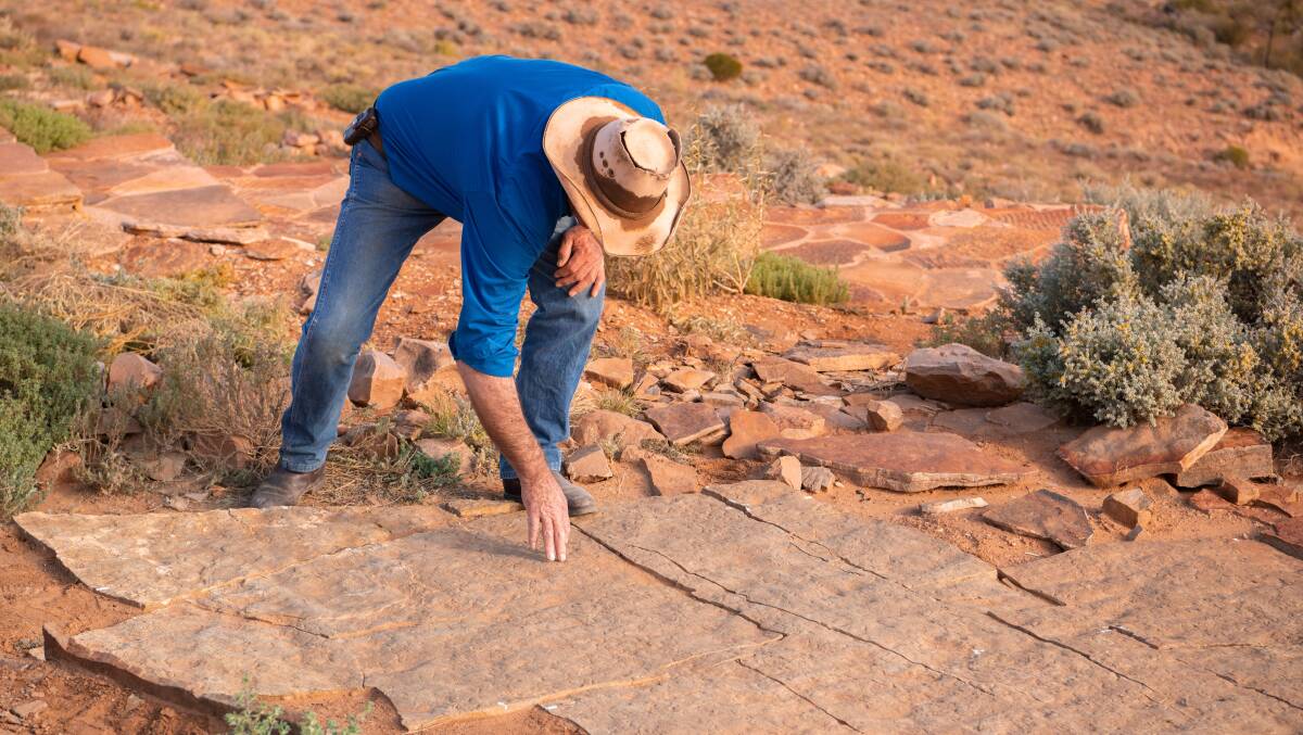 Nilpena fossil field. Nilpena fossil field.