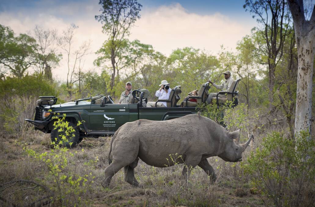 A close encounter in Africa.