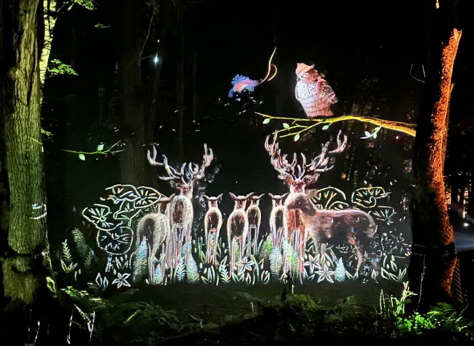 The light show. The light show.