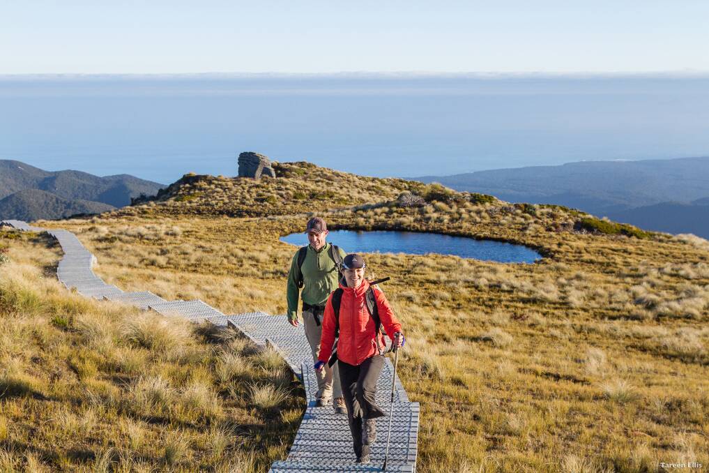 Trekking along the Hump Ridge Track in New Zealand. Picture: Tareen Ellis